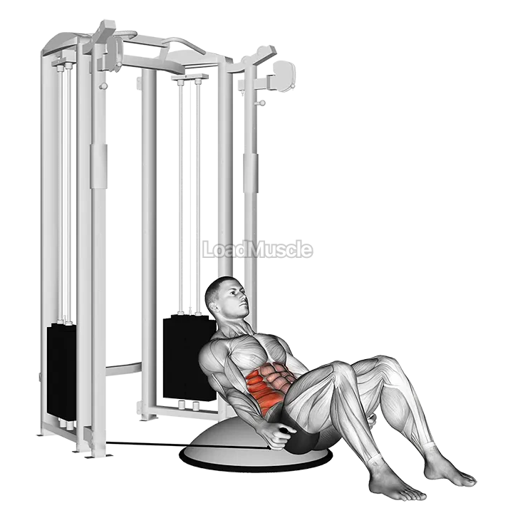 Cable Side Bend Crunch (bosu ball) demonstration