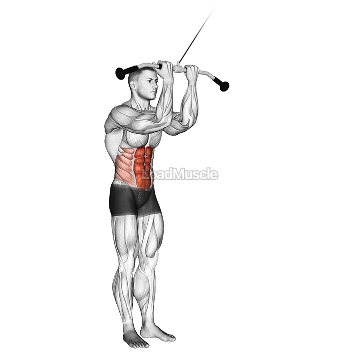 Cable Standing Crunch demonstration