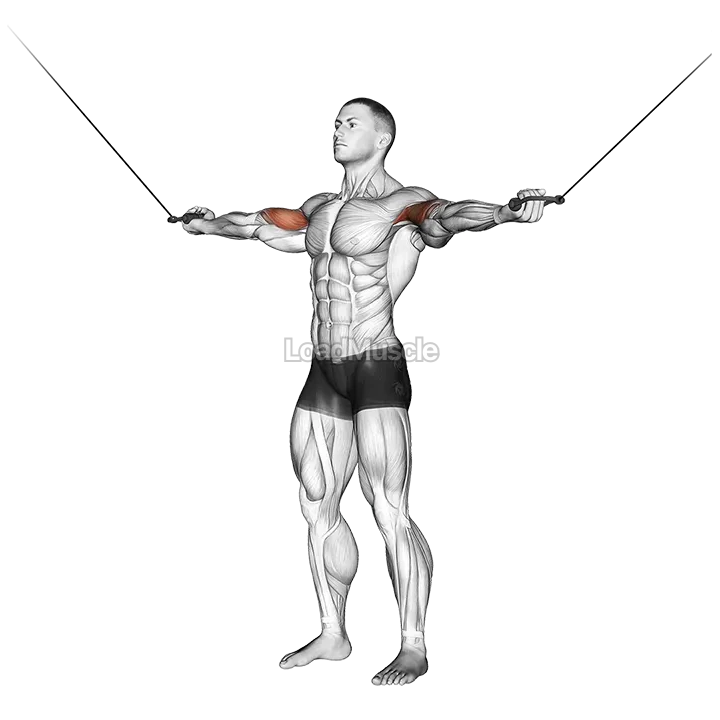 Cable Standing Inner Curl demonstration
