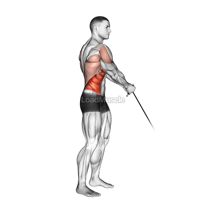 Cable Standing Lift demonstration
