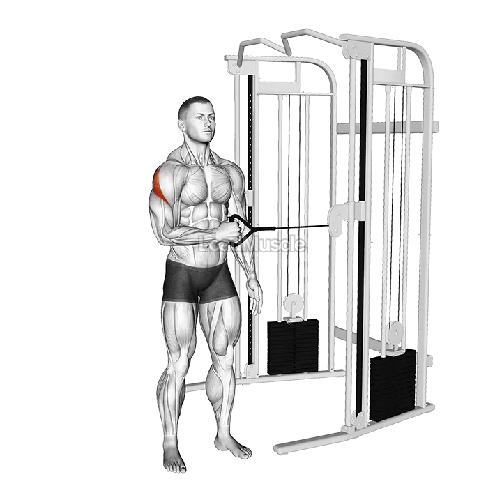 Cable Standing Shoulder External Rotation demonstration