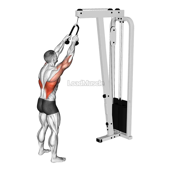 Cable Straight Arm Pulldown (with rope) demonstration
