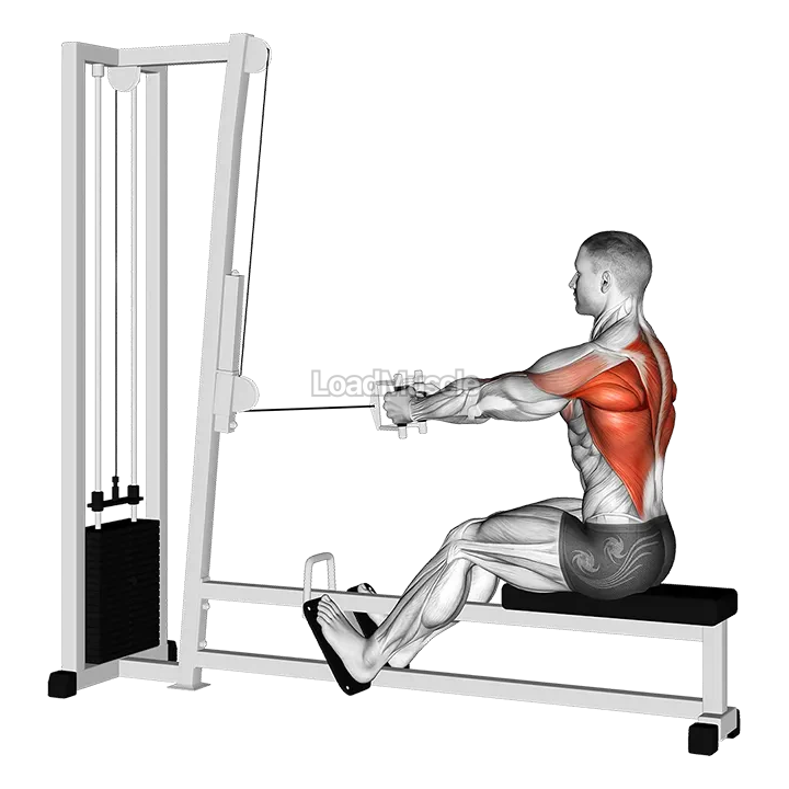 Cable Straight Back Seated Row demonstration