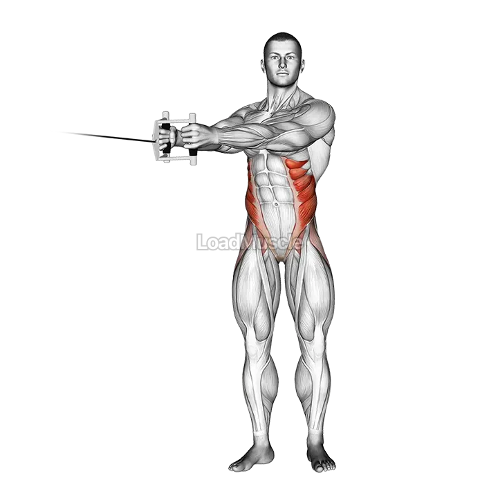 Cable Twist demonstration
