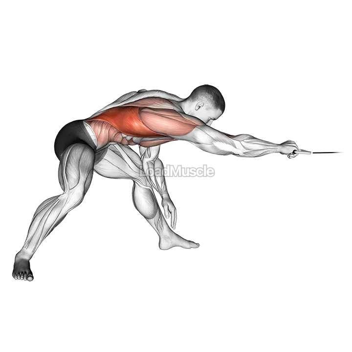 Cable Twisting Pull demonstration