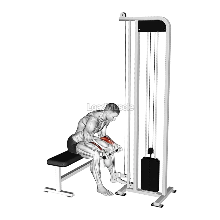 Cable Wrist Curl demonstration