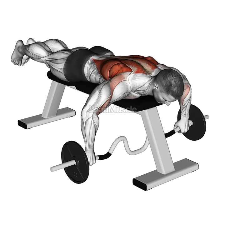 Cambered Bar Lying Row demonstration