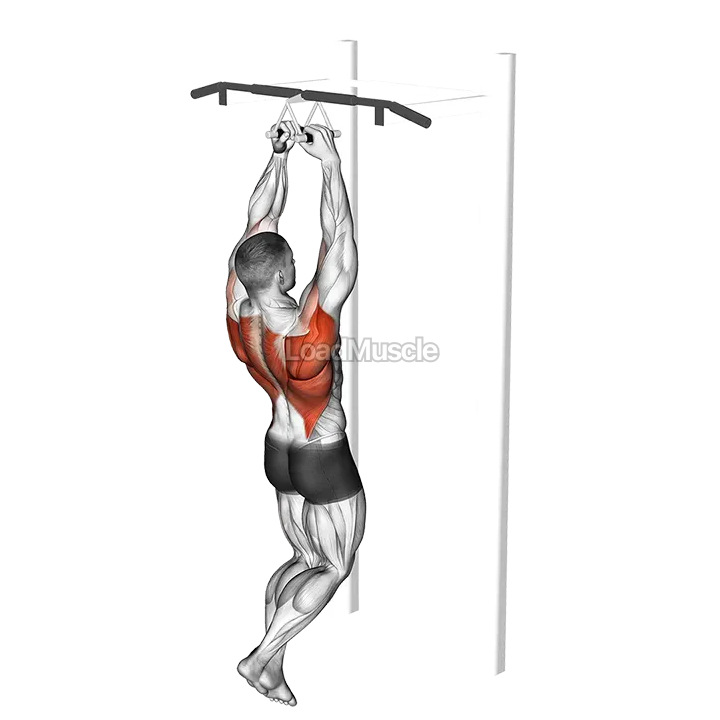 Chin ups (narrow parallel grip) demonstration