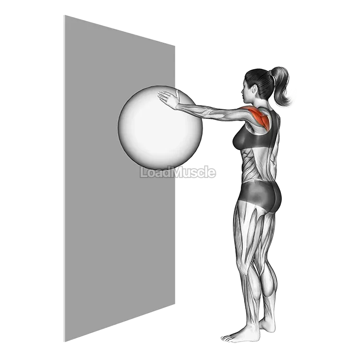 Circles Ball (wall) demonstration