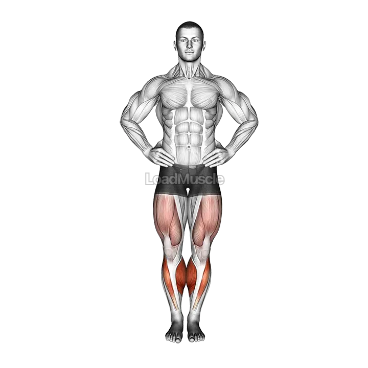 Circles Knee Stretch demonstration