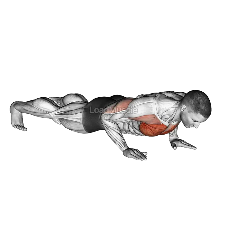 Clock Push Up demonstration