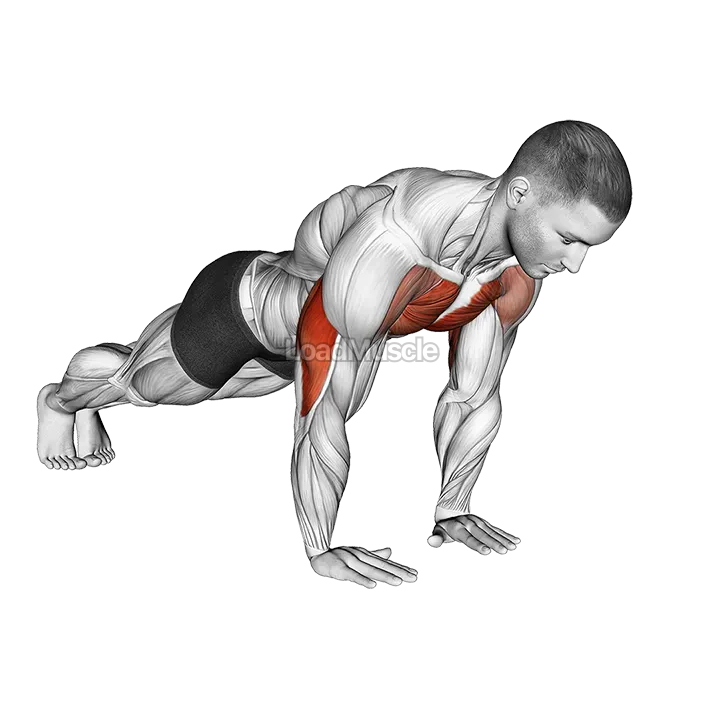Close Grip Push up demonstration