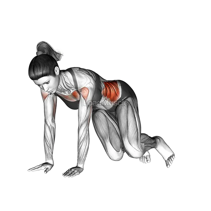 Corkscrew Push up demonstration