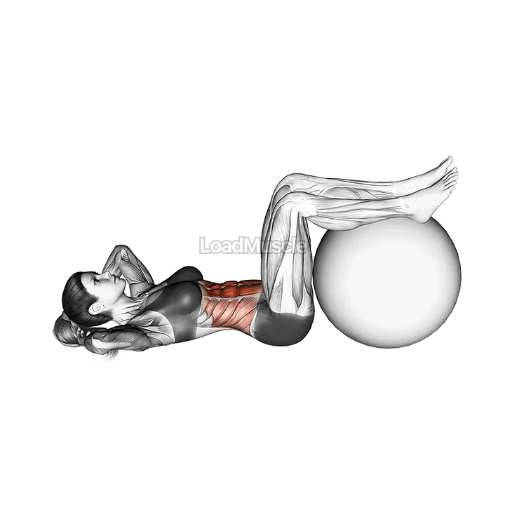 Crunch (legs on stability ball) demonstration