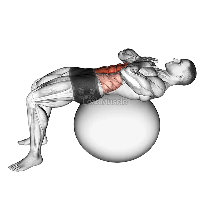 Crunch (on stability ball) demonstration