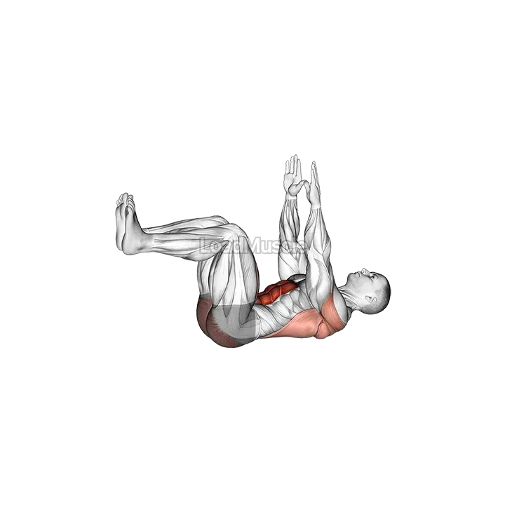 Dead Bug demonstration