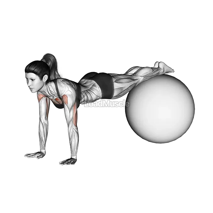 Decline Push up (on stability ball) demonstration