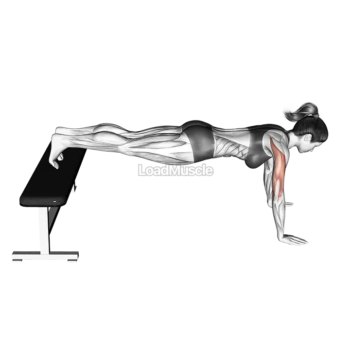 Decline Push up demonstration