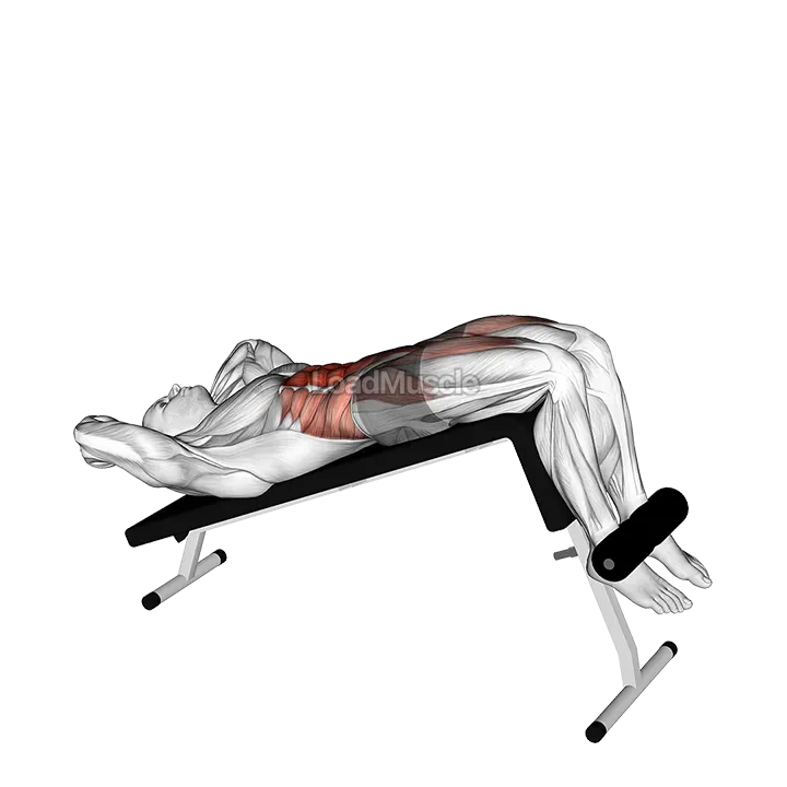 Decline Sit up demonstration