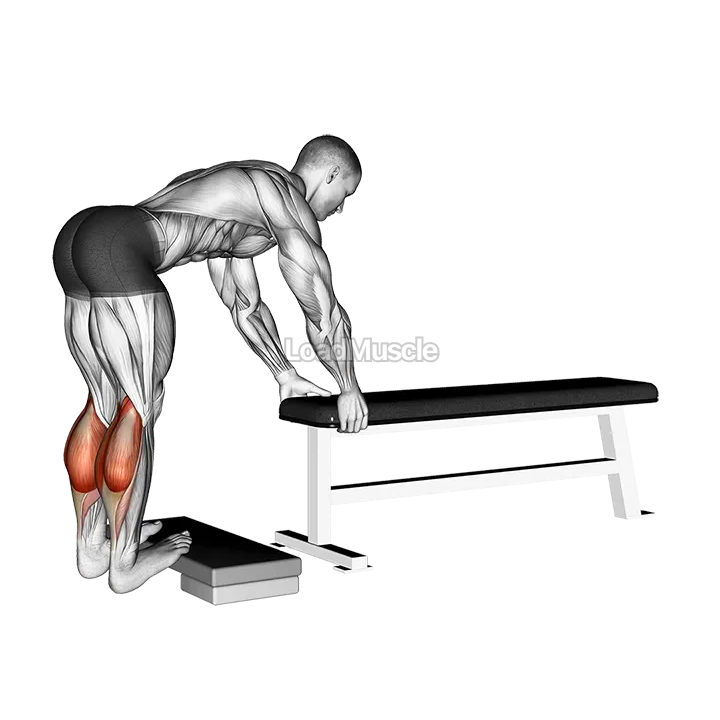 Donkey Calf Raise demonstration