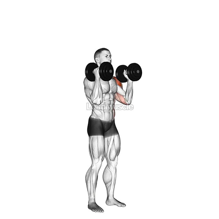 Dumbbell Alternate Side Press demonstration