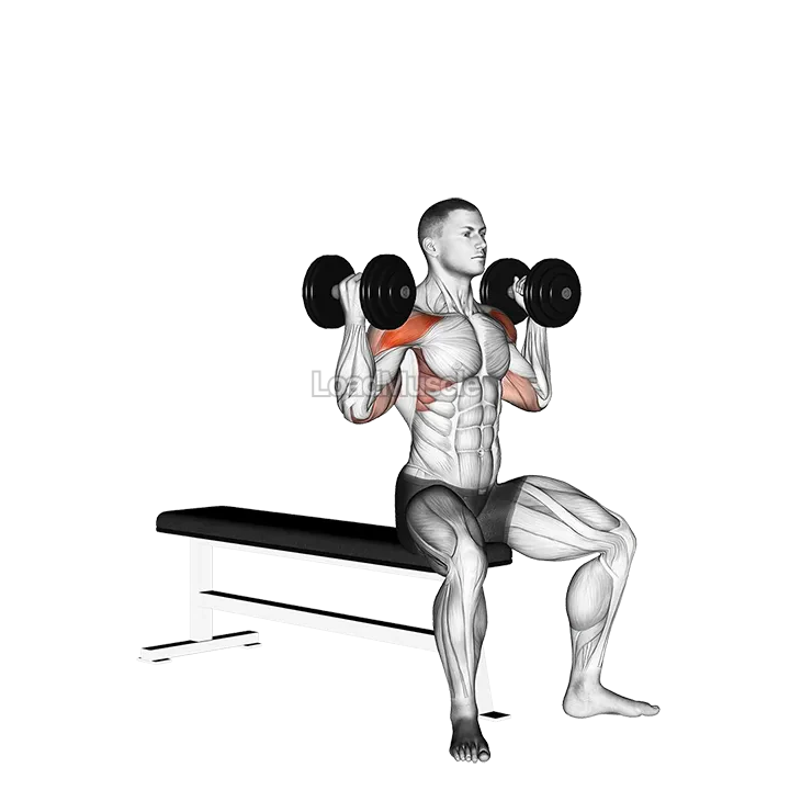 Dumbbell Arnold Press demonstration