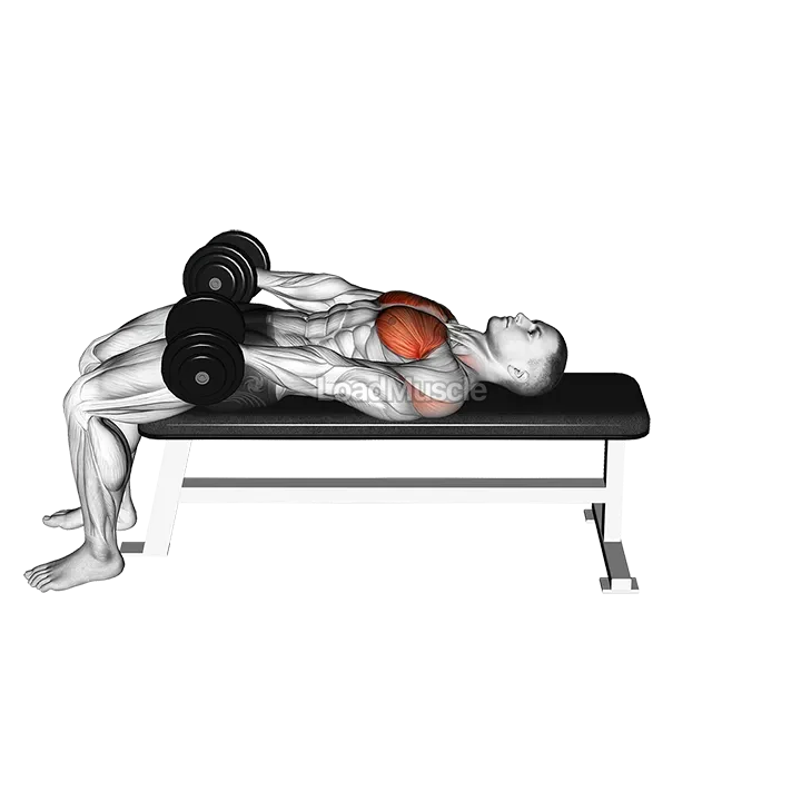 Dumbbell Around Pullover demonstration