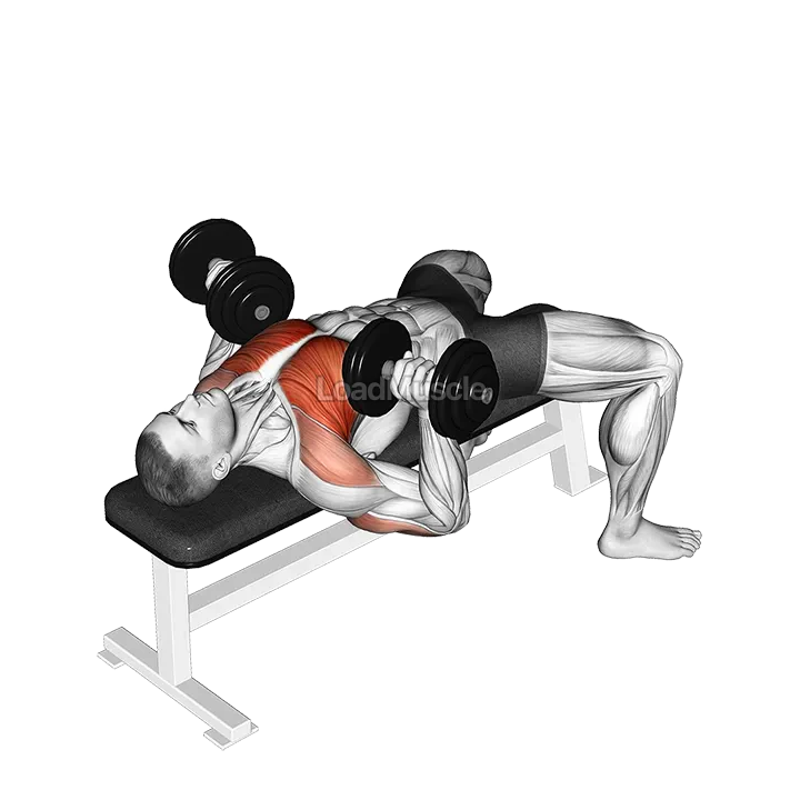 Dumbbell Bench Press demonstration