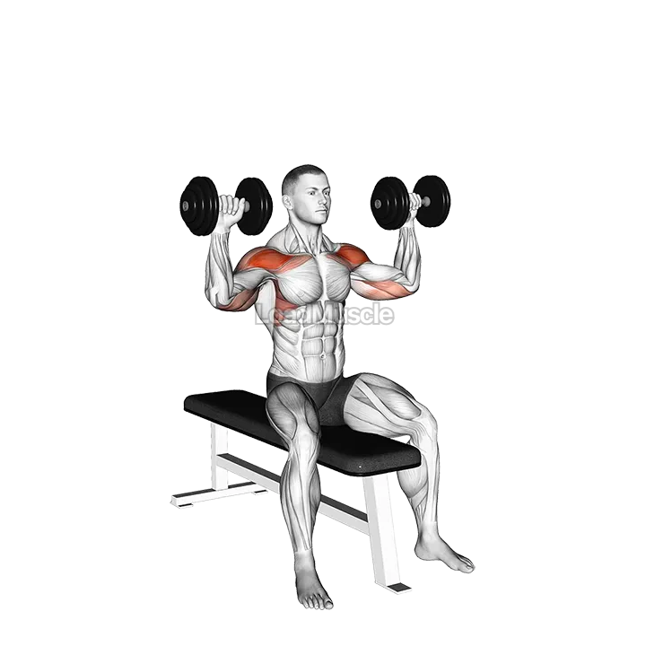 Dumbbell Bench Seated Press demonstration
