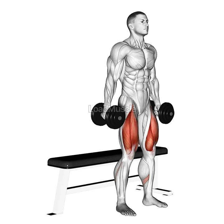 Dumbbell Bench Squat demonstration