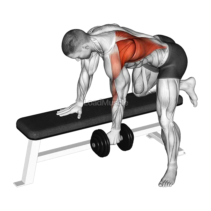 Dumbbell Bent over Row demonstration