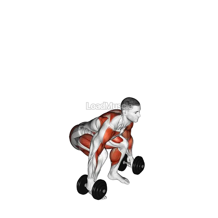 Dumbbell Clean demonstration