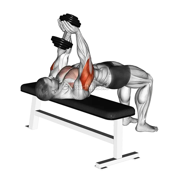 Dumbbell Close grip Press demonstration