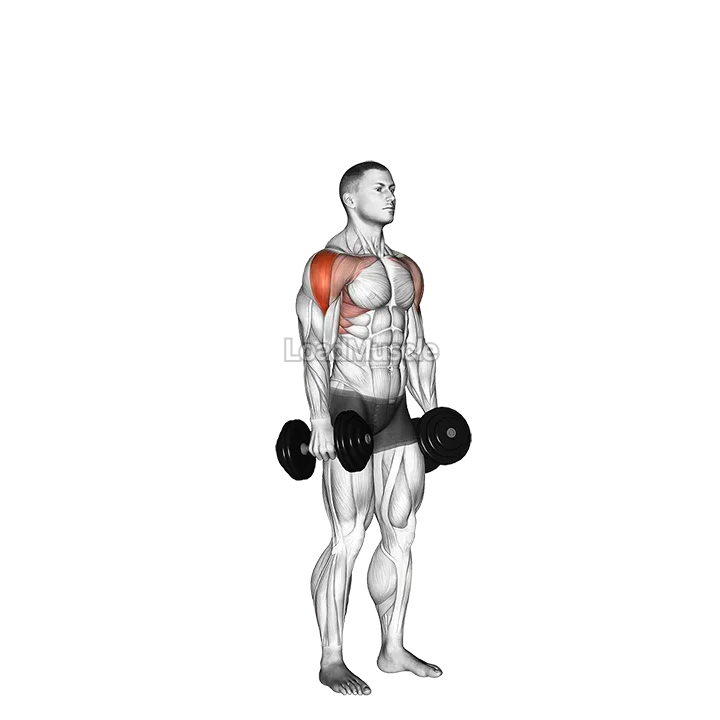 Dumbbell Cuban Press demonstration