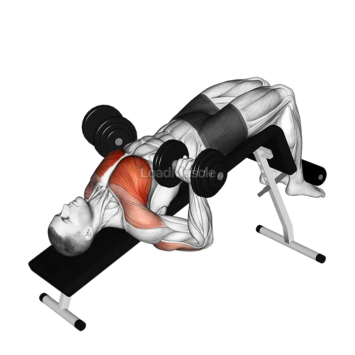 Dumbbell Decline Bench Press demonstration