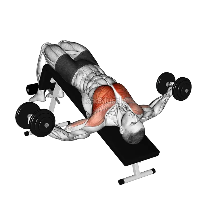 Dumbbell Decline Fly demonstration