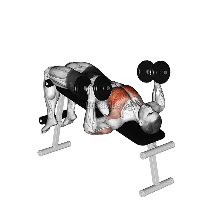 Dumbbell Decline Hammer Press demonstration