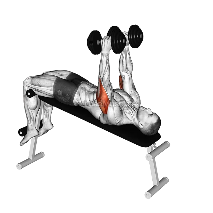 Dumbbell Decline Triceps Extension demonstration