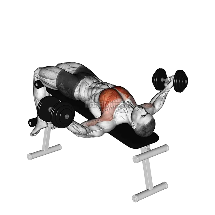 Dumbbell Decline Twist Fly demonstration