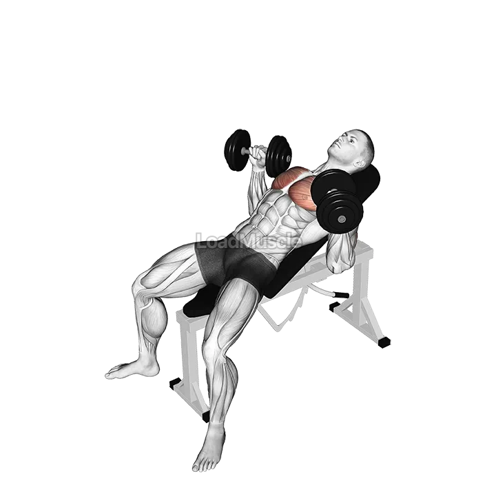 Dumbbell Incline Bench Press demonstration