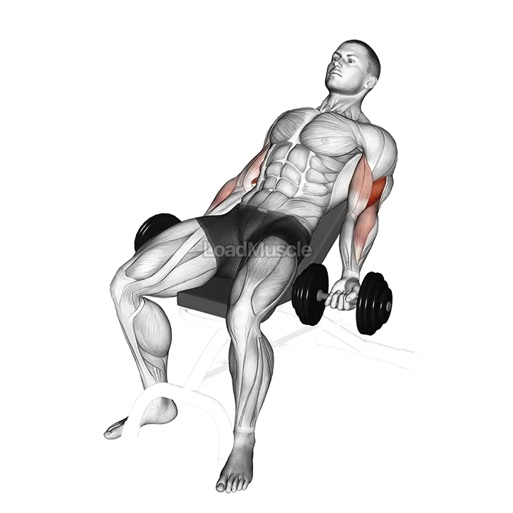 Dumbbell Incline Curl demonstration