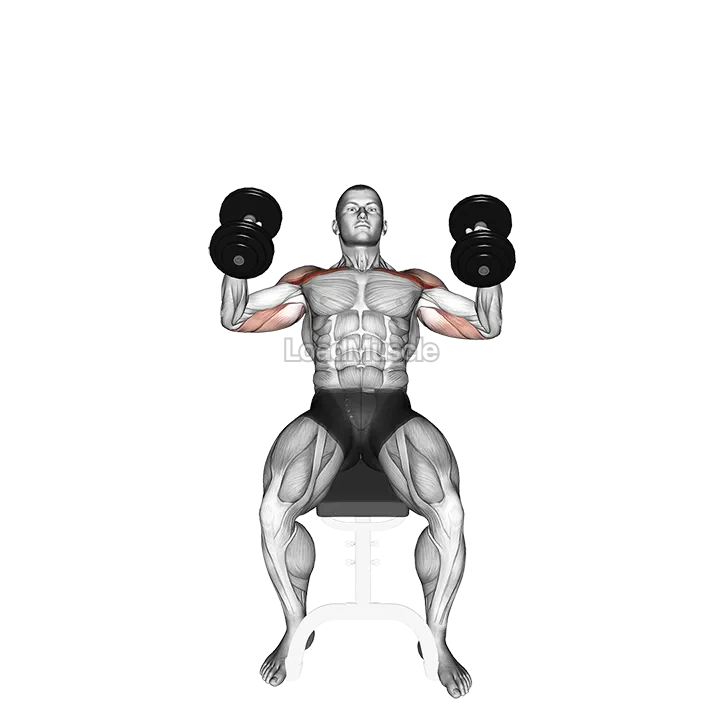 Dumbbell Incline Hammer Press demonstration