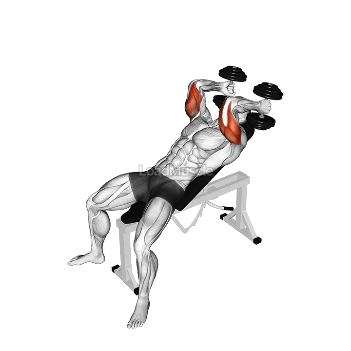 Dumbbell Incline Triceps Extension demonstration