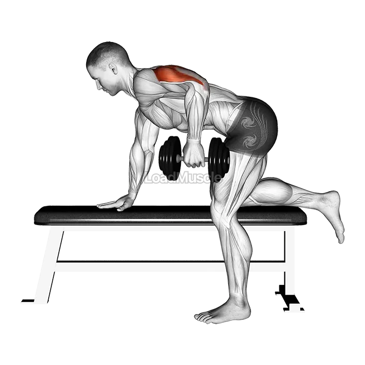 Dumbbell Kickback demonstration