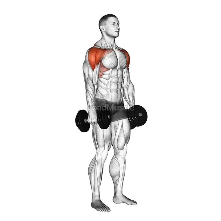 Dumbbell Lateral to Front Raise demonstration