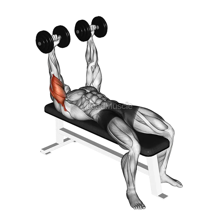 Dumbbell Lying Extension (across face) demonstration