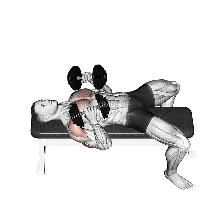 Dumbbell Lying Elbow Press demonstration