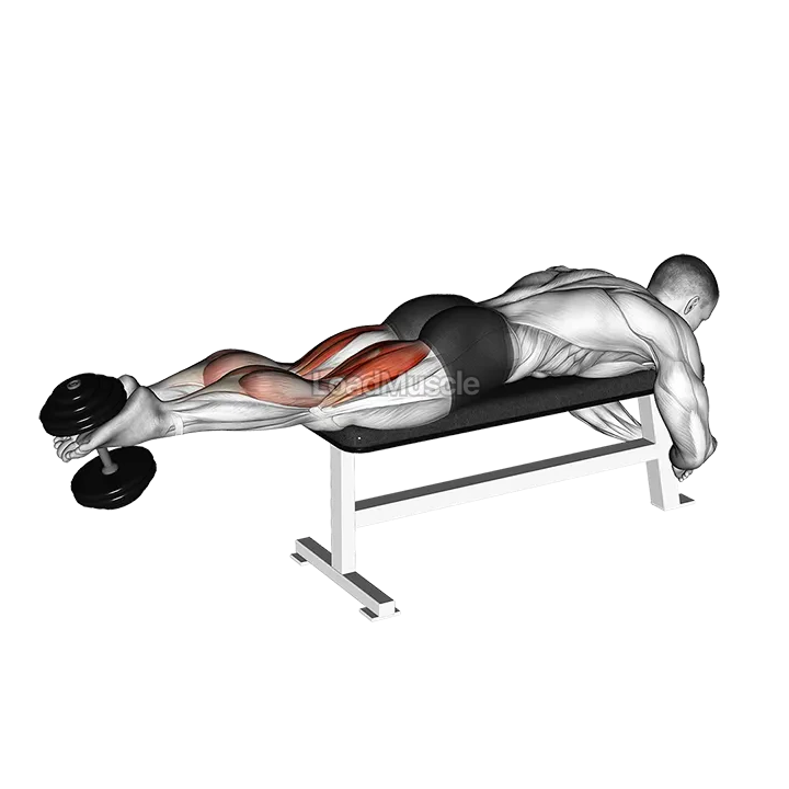 Dumbbell Lying Femoral demonstration
