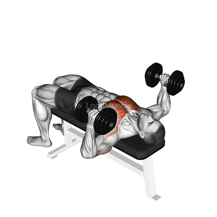 Dumbbell Lying Hammer Press demonstration