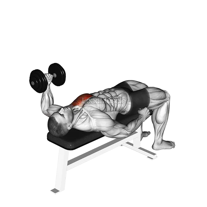 Dumbbell Lying One Arm Press demonstration